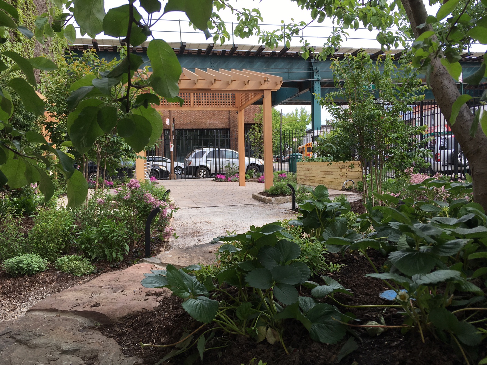 Community Gardens